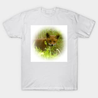 Red fox cub T-Shirt